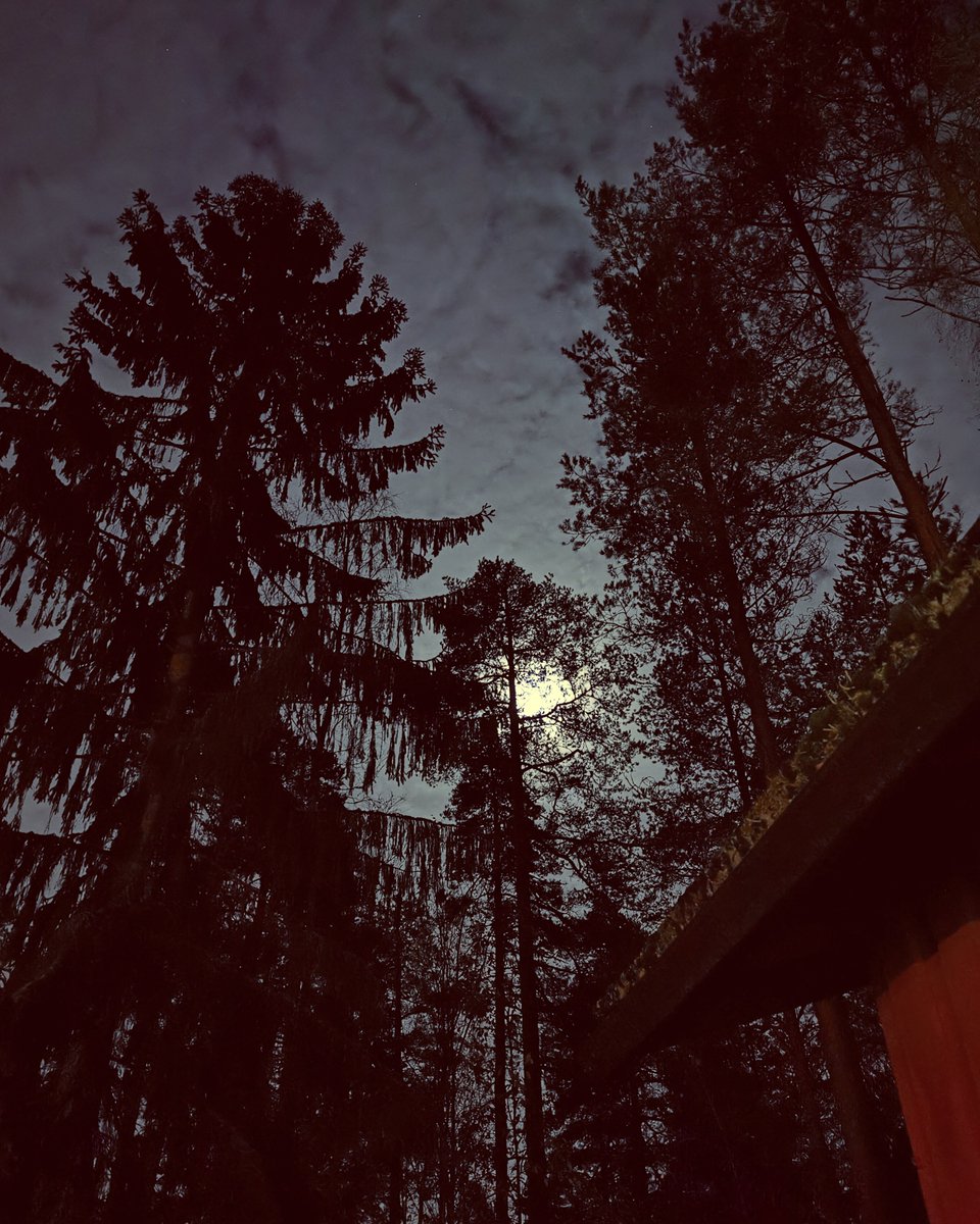 Ilta, kuutamo ja Imatra. - - Night, the moon and Imatra.
#imatra #night #finland https://t.co/REAMpBBgWI