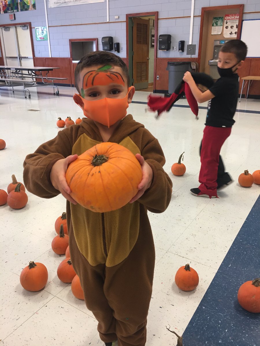 Nokomis (@nokobulldogs) on Twitter photo The NOKO Pumpkin Patch was a HUGE success!! Thank you to our FABULOUS PTA!!! The rain didnโt bring us down!!
๐๐๐๐๐๐๐๐๐๐๐๐๐๐
<a href="/sachemschools/">Sachem Schools</a> The NOKO Pumpkin Patch was a HUGE success!! Thank you to our FABULOUS PTA!!! The rain didnโt bring us down!!
๐๐๐๐๐๐๐๐๐๐๐๐๐๐
<a href="/sachemschools/">Sachem Schools</a>