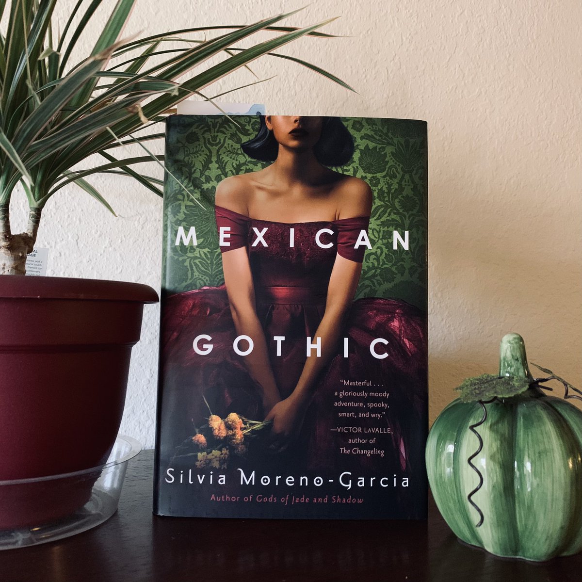 Happy Halloweeeeeeen!! 👻 Illusory’s revisions are FINALLY done, so I’m off to binge read this gothic tale. 
👏🕸🎃📚

#happyhalloween #fridayreads #amreading #mexicangothic #silviamorenogarcia #gothic #spooky #dayofthedead