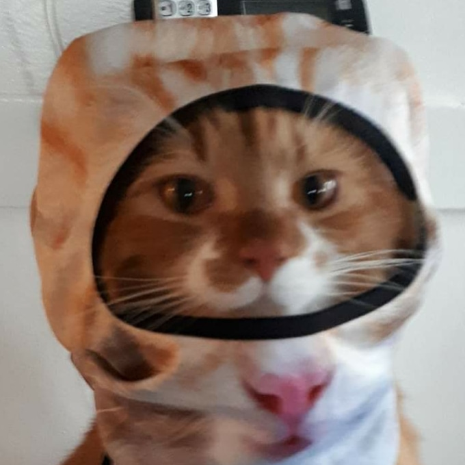 WoTUp5's tweet photo. #twitteroftime think @KVHendry will hire Marley as an Aiel Cat?
#wotonprime #wheeloftime #dragonsworn #WoT #thewheeloftime #fantasy #instaoftime #wotcommunity #amazonprime #petsoftime https://t.co/tSluiy7HbQ https://t.co/FMKLyL2LNf