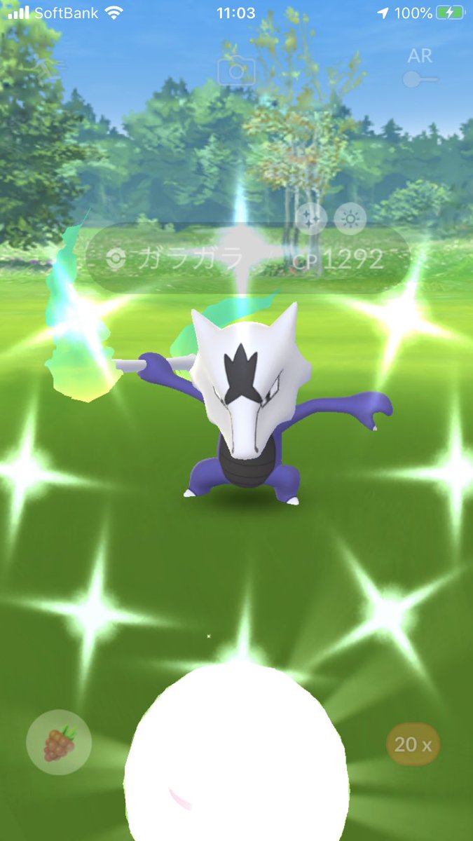 ごめんなさい 1戦目で終わりました ポケモンgo 色違い アローラガラガラ ツイレポ