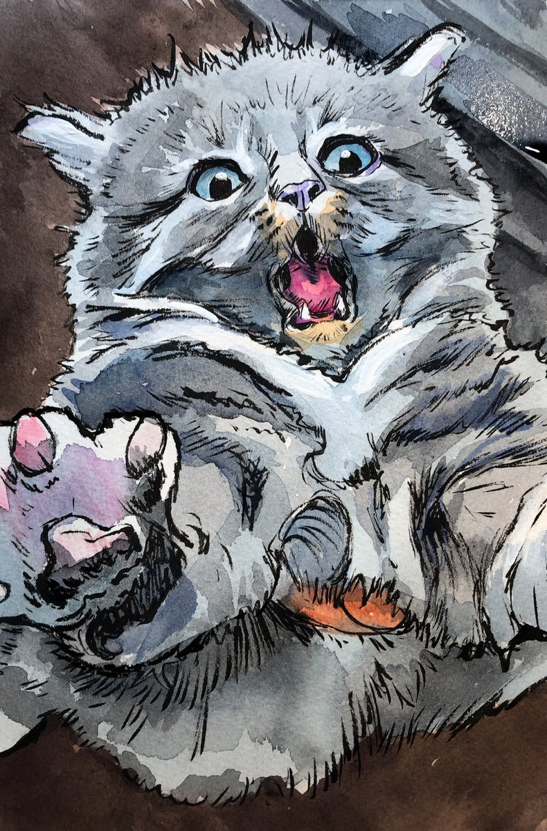 Daily Napkins tweet media