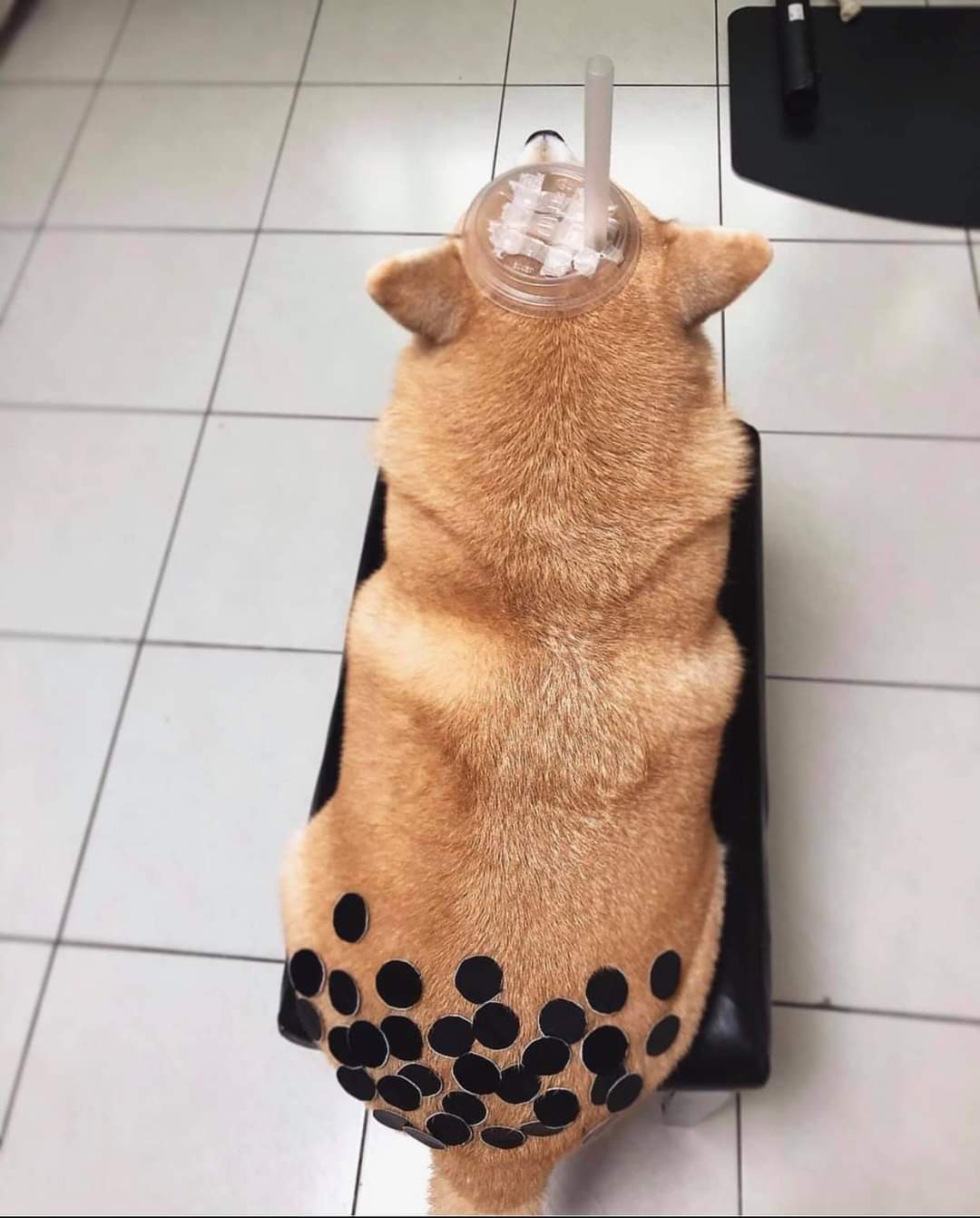𝙴𝚖 Semi Ia Qu0kkabin Twitter