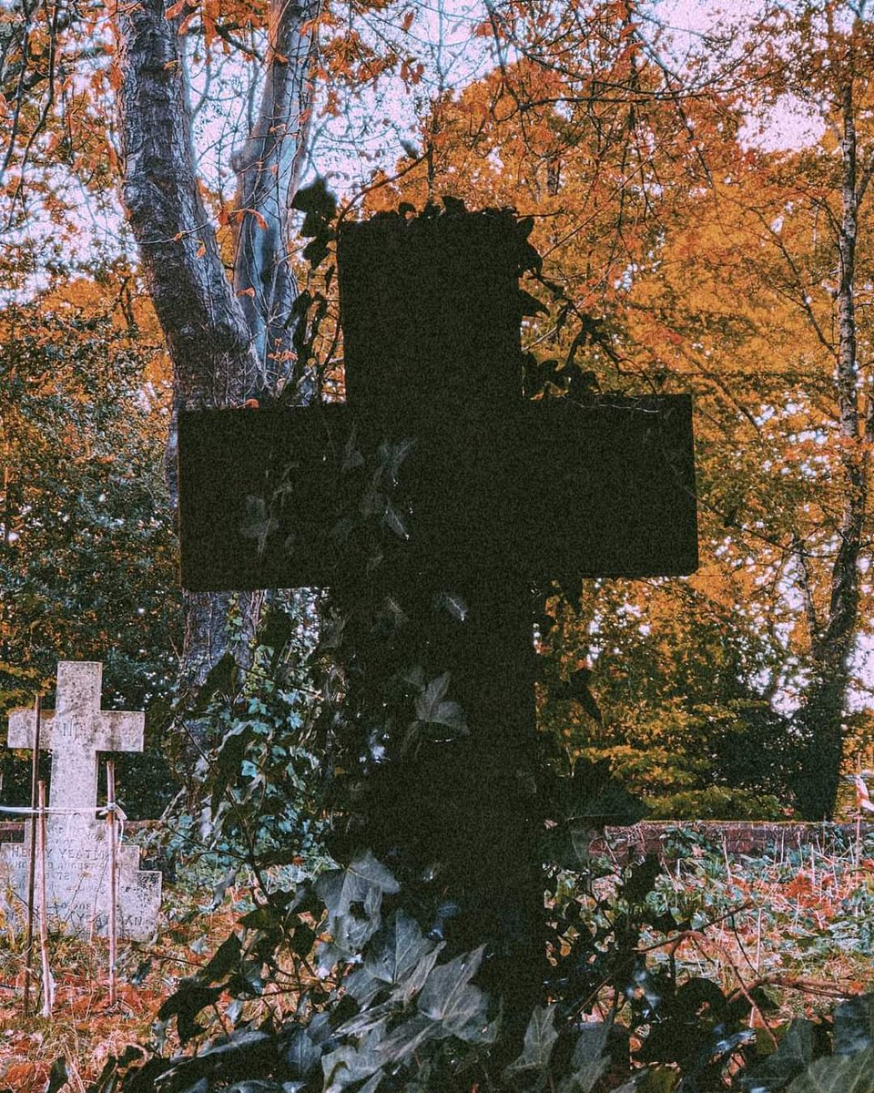BenJieStills's tweet photo. If love is the end, I'll see you as soon as I'm dead no matter how long it takes to go.
Song: Soon As I'm Dead by Johnny Goth.
•
•
•
•
#johnnygothlyrics #johnnygoth #halloweeneve #lyricscaption #lyrics #grungeaesthetics #octobervibes #october #grunge https://t.co/YiMvVydWBR