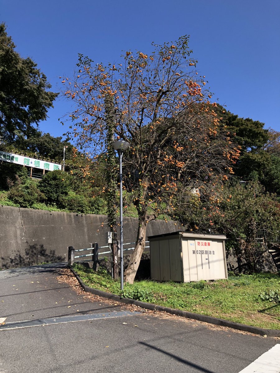 oofunacom's tweet photo. すずなり https://t.co/JylKcDcLOG