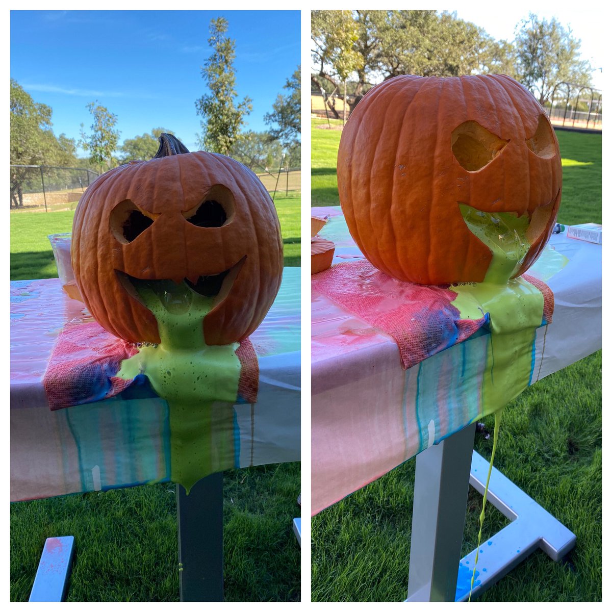 LDCcervantes's tweet photo. Kinder Pioneers had a week of pumpkin exploration, learning about the lifecycle of a pumpkin, what is inside of a pumpkin, and what it takes to make a pumpkin ooze. What a week full of learning! 🎃 #pumpkins #pumpkinexploration #PioneerTOUGH @WolfRanchElem https://t.co/vDcLVas4Ja