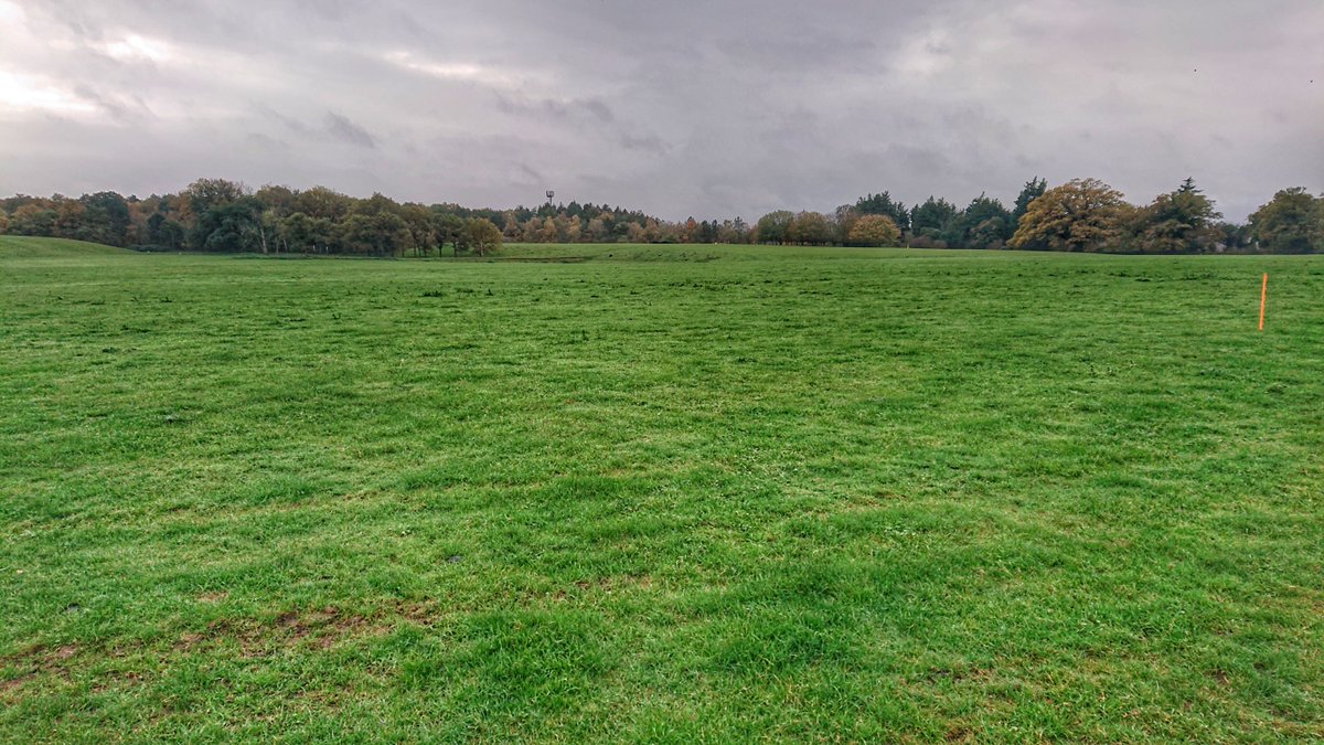 Ross Spencer tweet media