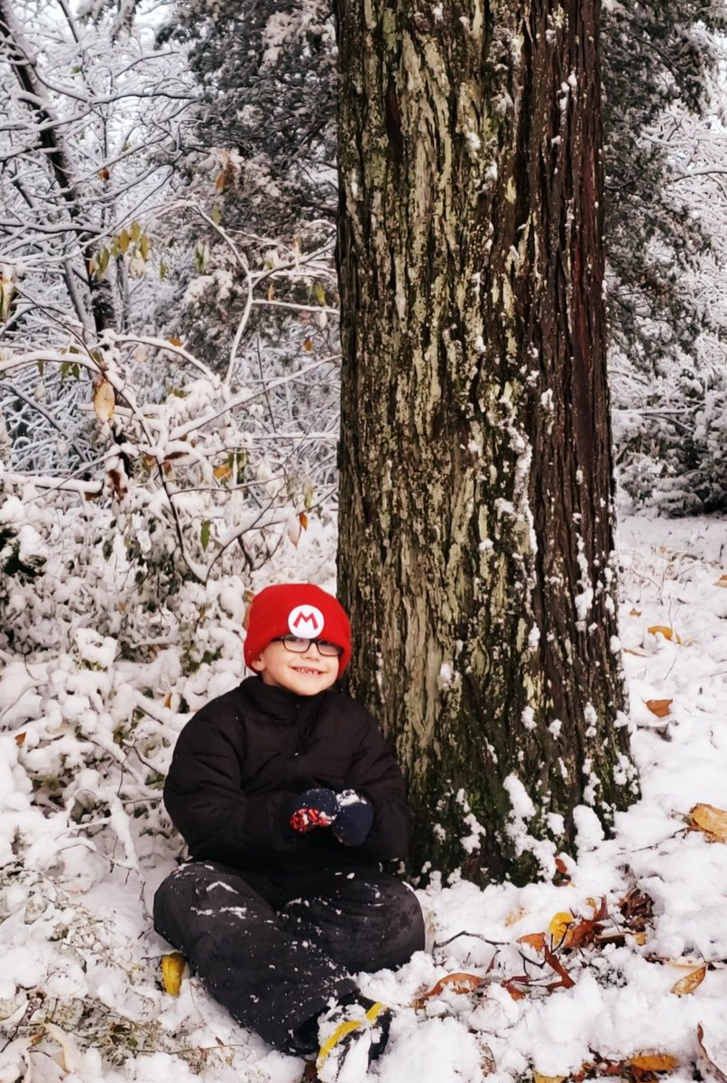 LaurieLenahan's tweet photo. @boston25 @boston25gene @KevinBoston25 first snow picture of Devin in Plainville! You guys mentioned him last year I think, and showed a picture I sent when he was a baby too. #Traditions #snowinoctober #2020jumanji #Because2020 https://t.co/l3AdbMhtsZ