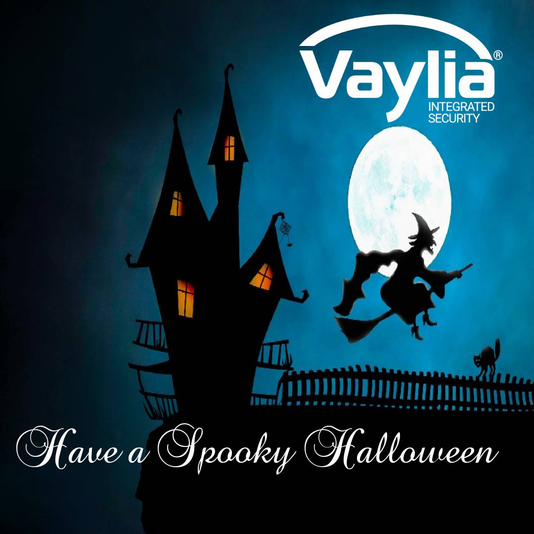 Vaylia tweet media