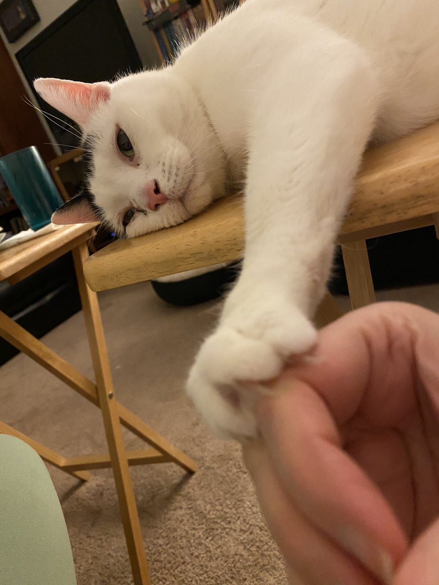 glyneth's tweet photo. Blessing your timeline with some beans. #dailyhan https://t.co/scKPUNRaXr
