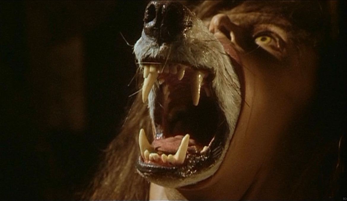 27/31 THE COMPANY OF WOLVES (1984)"Never stray from the path, never eat a windfall apple, and never trust a man whose eyebrows meet in the middle." #31DaysOfHalloween