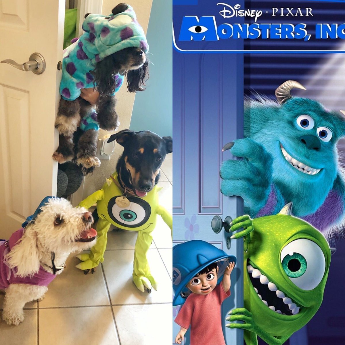 wrike_team's tweet photo. Happy halloween, from the Wrike team! We hosted a US costume competition, and our most popular participants were (you guessed it) our pets! #dogsofwrike #catsofwrike #Halloween https://t.co/ITundycjy1