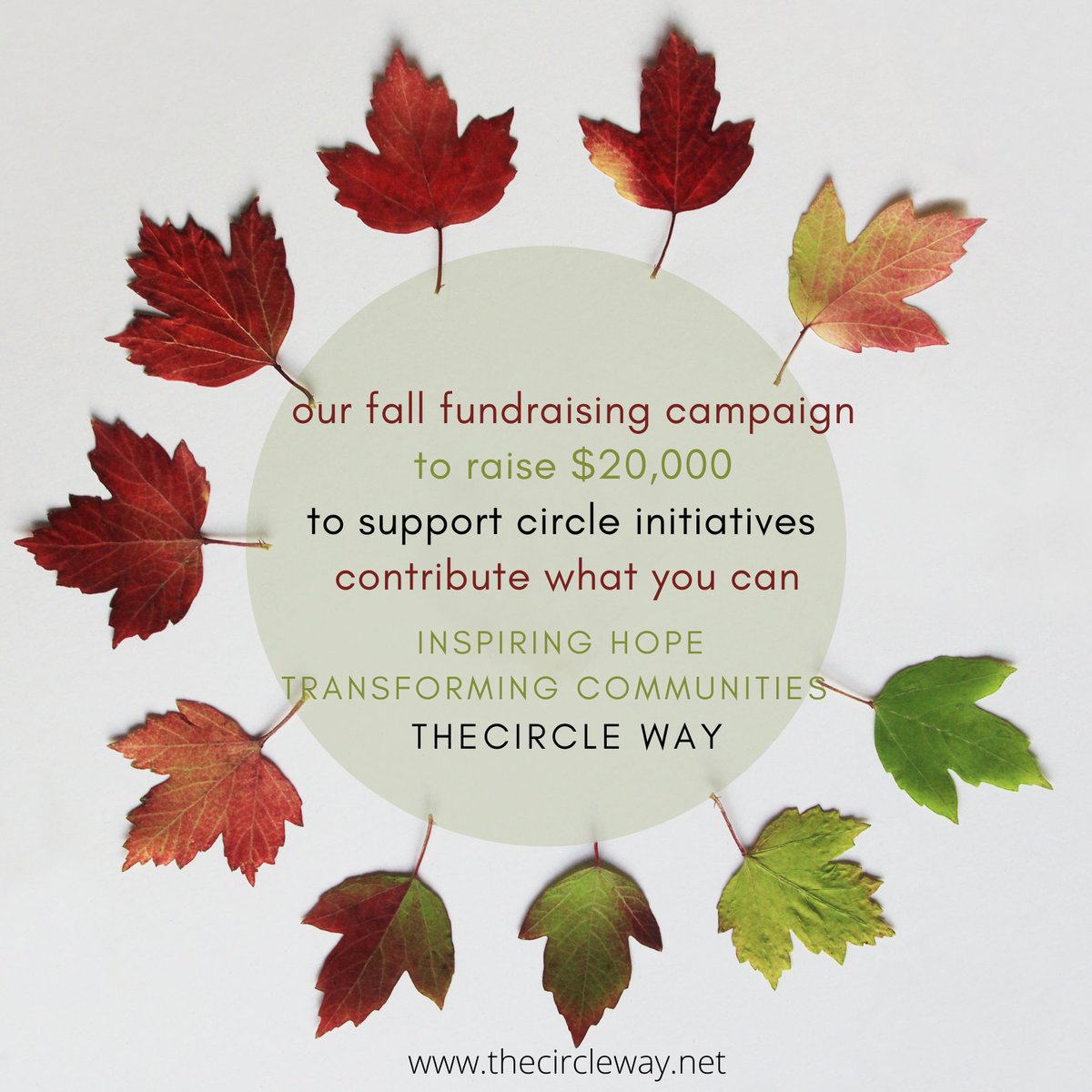 The Circle Way tweet media