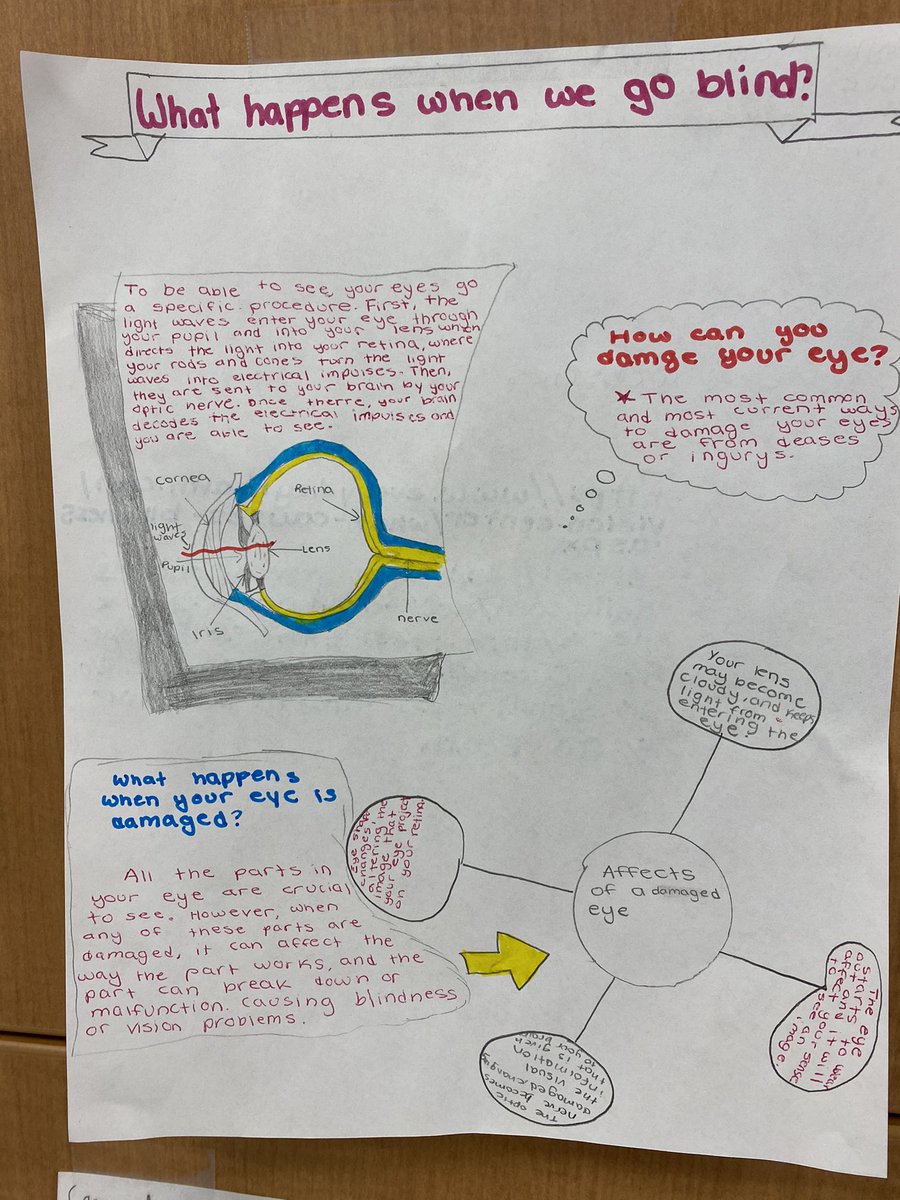 MrsEtense's tweet photo. Inspiring curiosity with QFT @RightQuestion Ss researched their wonderings and shared new learning on a mini poster to wrap up Light & Matter Unit. #6thgradescientists #ESMSscientists @NGSS_tweeps @NGSSphenomena @MrsCEastShore @donato_piselli @MrsSTEMilford https://t.co/Xnjj08BczH