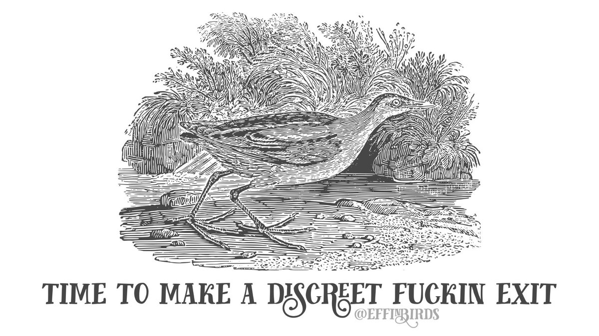 EffinBirds's tweet photo. https://t.co/6B6fWfyGuv