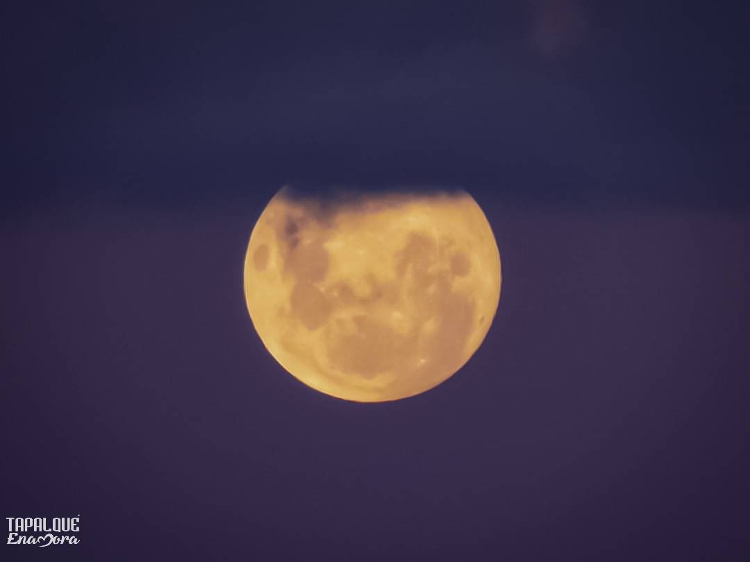 TapalqueEnamora's tweet photo. TAN NATURAL QUE ENAMORA. ❤️🌕 
.
.
.
#TapalquéEnamora 
#QuedateEnCasa 
#NosCuidamosEntreTodos https://t.co/P8OormrLHK