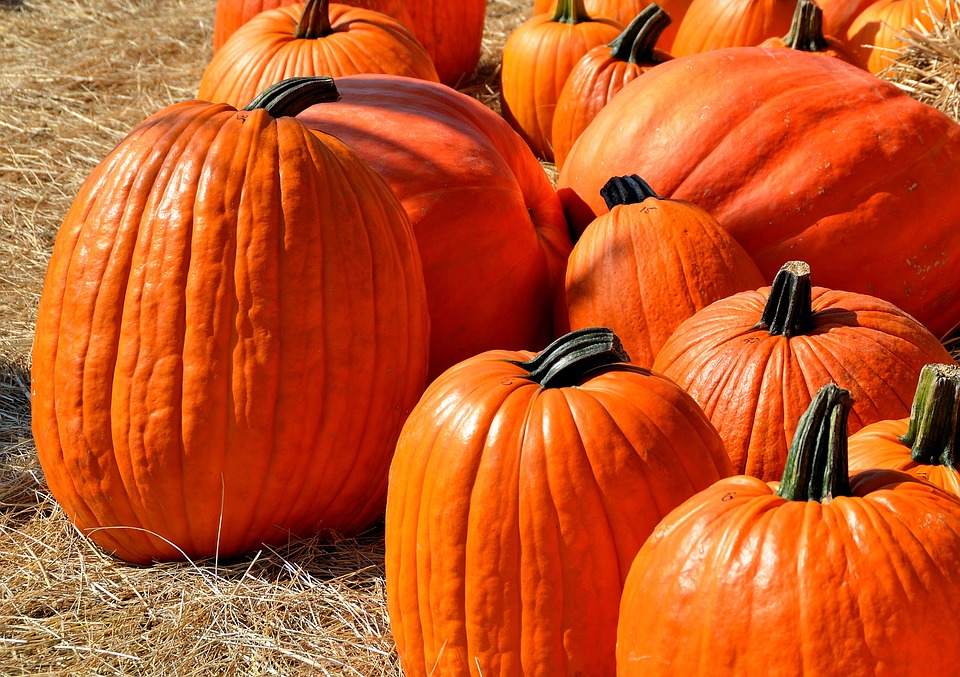 How to Mix Kids, Paint, Pumpkins & #Relaxation https://t.co/57ueh9dK81 #fall https://t.co/IohhYr8Tng