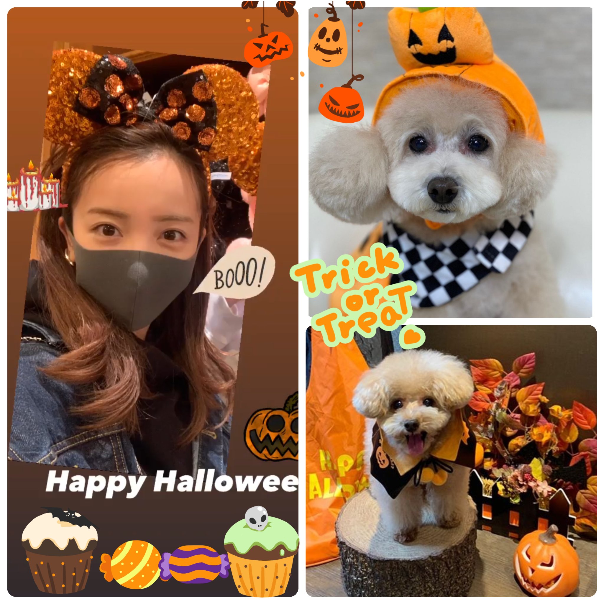 トミchan Happyhalloween 板野家の可愛い過ぎる ハロウィン 板野友美 ともちん Halloweenathome 愛犬 Coo Cheek ハロウィンコスプレ Youtube 友chube 出演中 おてんば ボール大好き マイペース