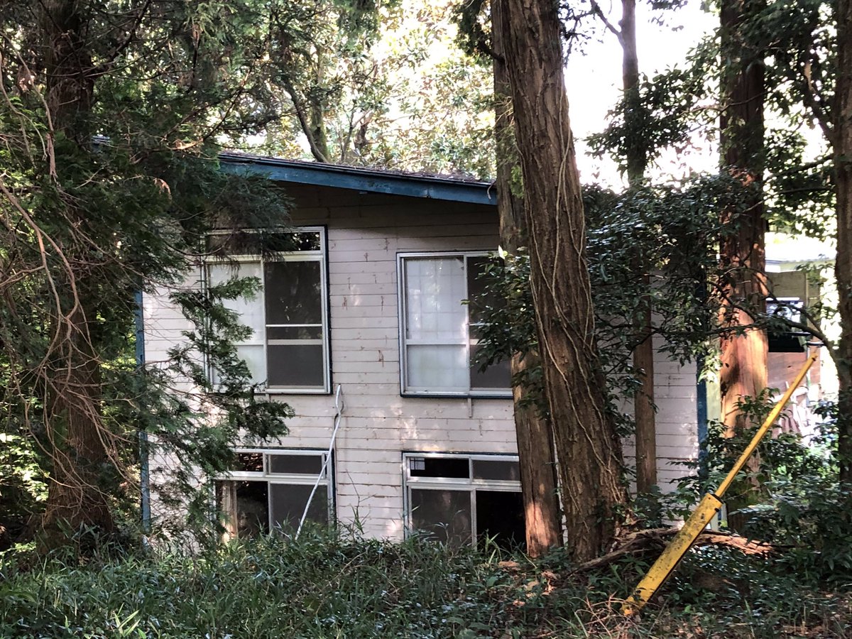 逆境を跳ね返せ