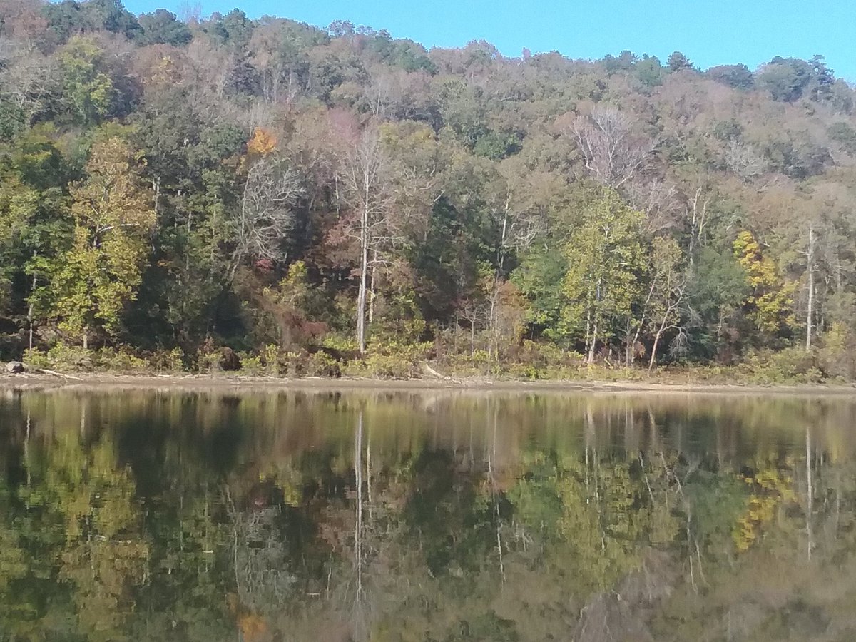 HiLyBlessed1's tweet image. #AutumnReflections 🍂