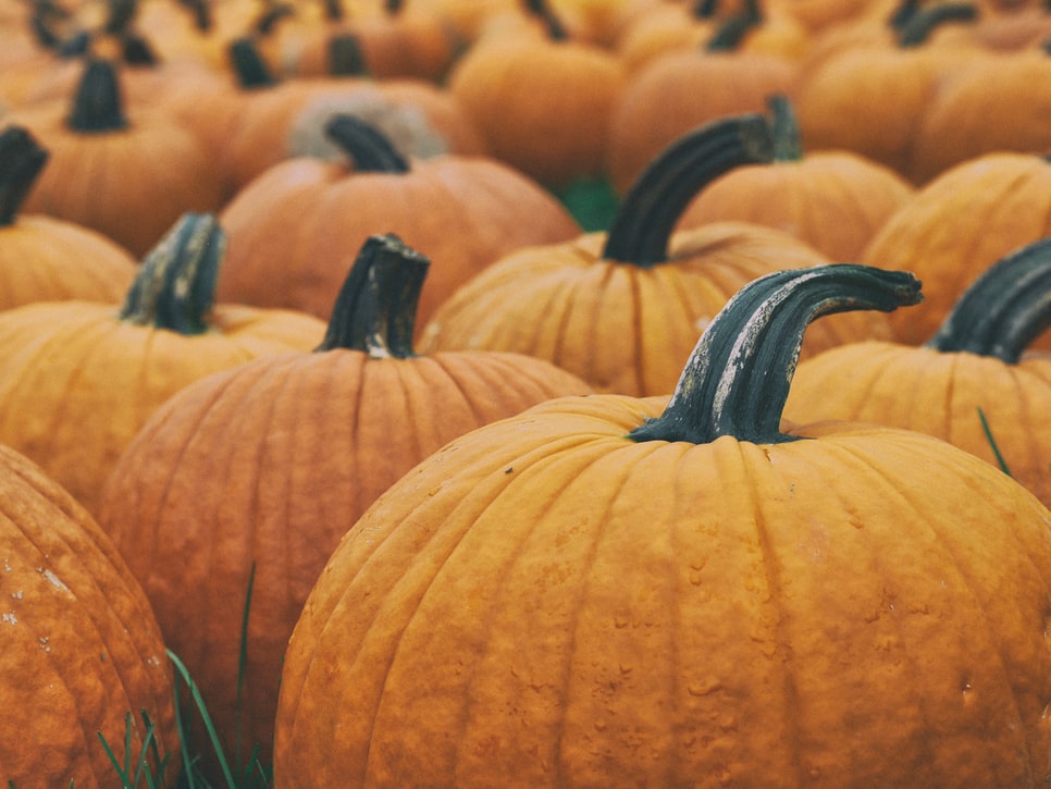 SkyRunVail's tweet photo. Trick-Or-Treat yourself to a relaxing weekend in the mountains this Winter with SkyRun! Happy Halloween! 🎃👻 https://t.co/1TtjWb0xKa