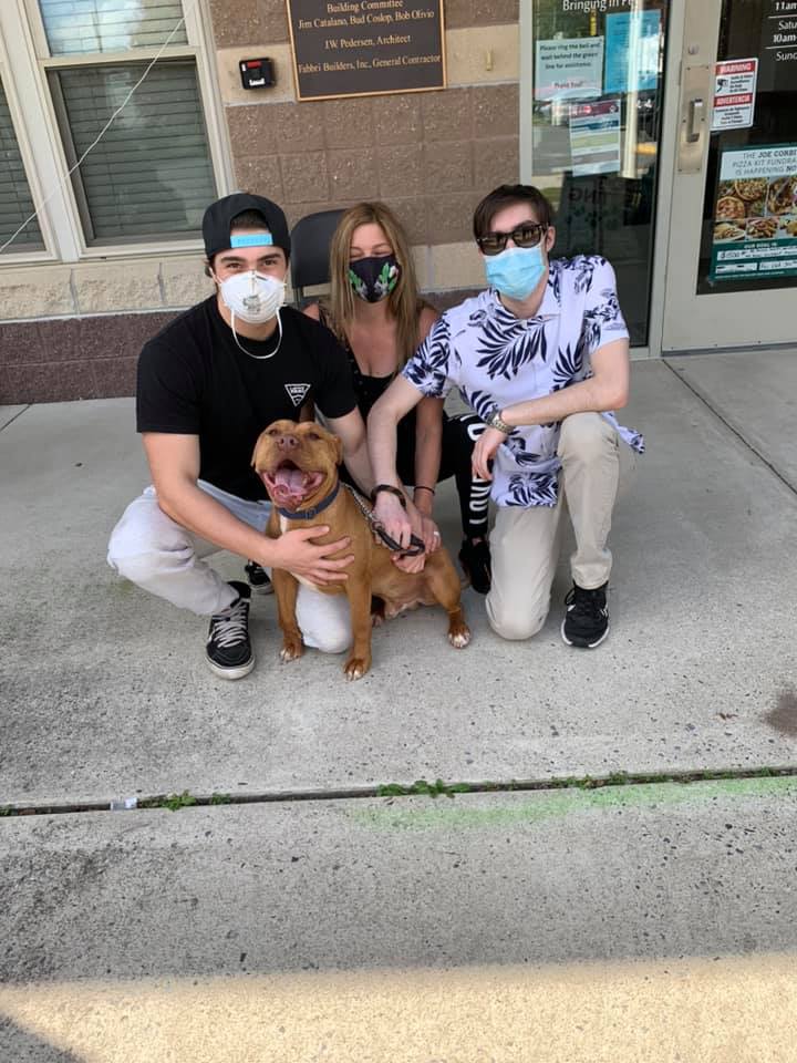 It's BYE-Day! Try not to smile when you see these happy new families - we bet you can't do it! Thanks to all adopters past &amp; present for being there for the pets in our community!  #HappyTails #GoingHome #CanISitInTheFrontSeat? Find your own new friend  - ow.ly/aNqr50C6Dnn