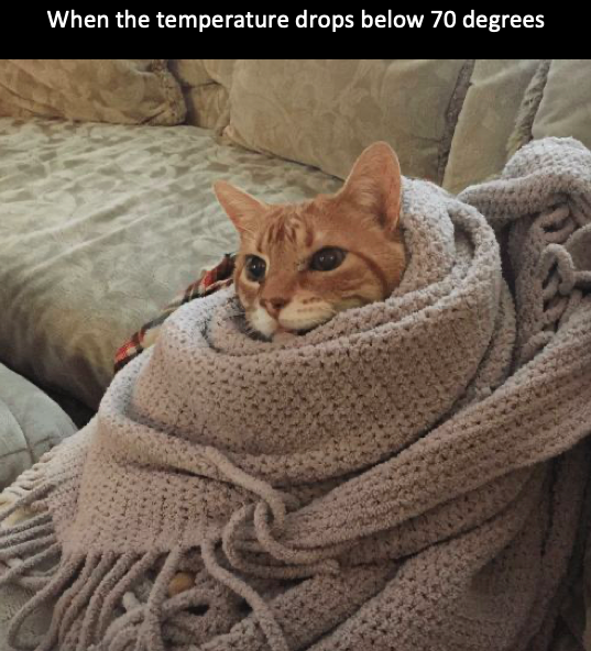 sar_gilbertson's tweet photo. The pure aesthetic of a winter blanket will make me bundle up regardless of the temp outside #MCO335 #winteriscoming https://t.co/lH99wUXrhd