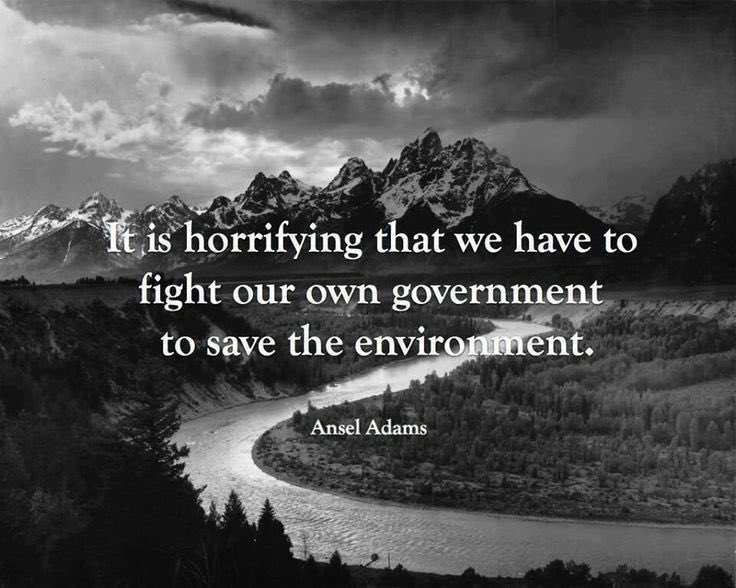BondageLand's tweet photo. "It is horrifying that we have to fight our own government to save the environment."
- Ansel Adams #quote #truethentruenow https://t.co/zlUI8FYVcZ