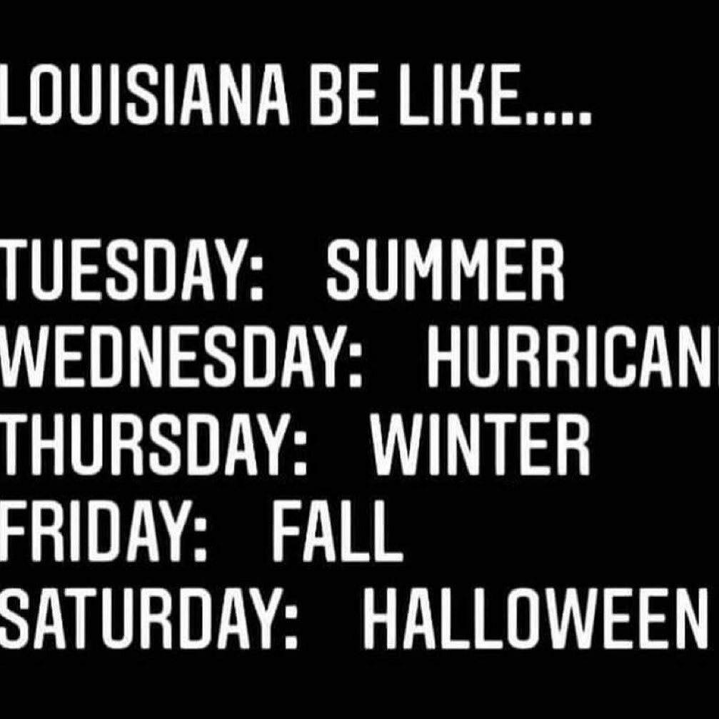 PintsizedNOLA's tweet image. Today felt more like winter than yesterday tho.... #nolaweather #nolaproblems #neworleanslife instagr.am/p/CG_DBLtFgvT/