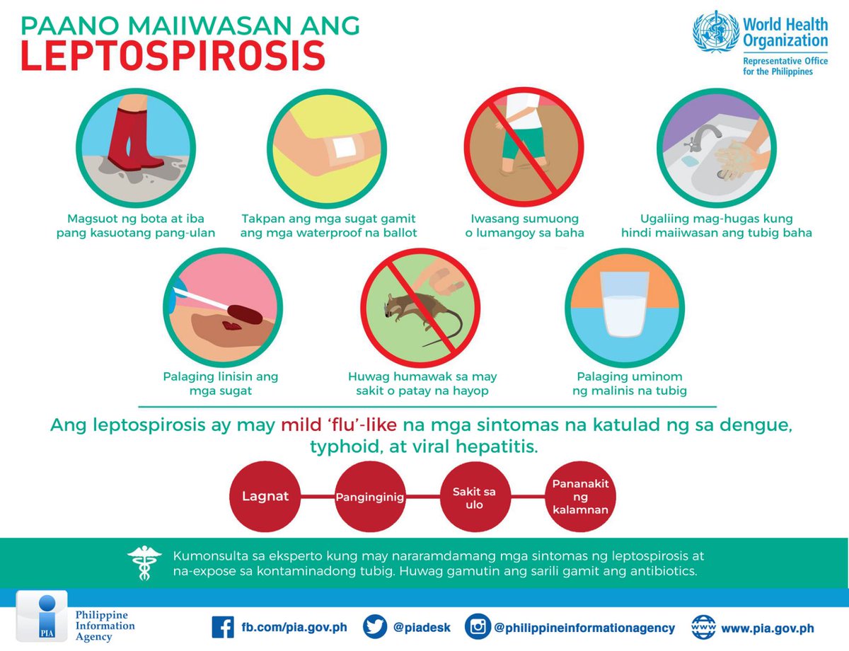 Tandaan ang mga ito upang maging ligtas sa nakamamatay leptospirosis.
#InformInformInform #LagingHanda