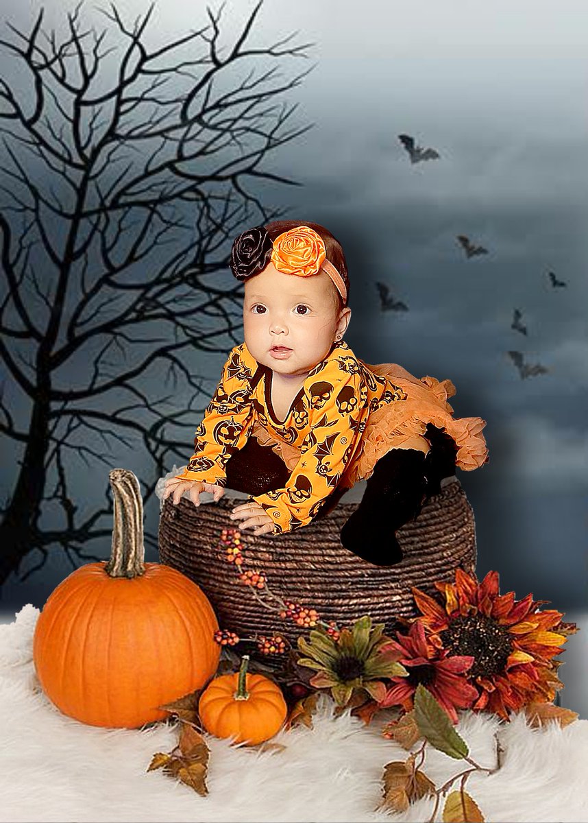 ShayannGaile's tweet photo. Happy 7 months old my Little Pumpkin! It's your first Halloween as well. Slow down a bit my love, you are growing so fast, I can't catch up. I love you to bits!
#MyLittleKisses
#KissesDelavin 
@KissesDelavin https://t.co/M0nq5HTcaQ