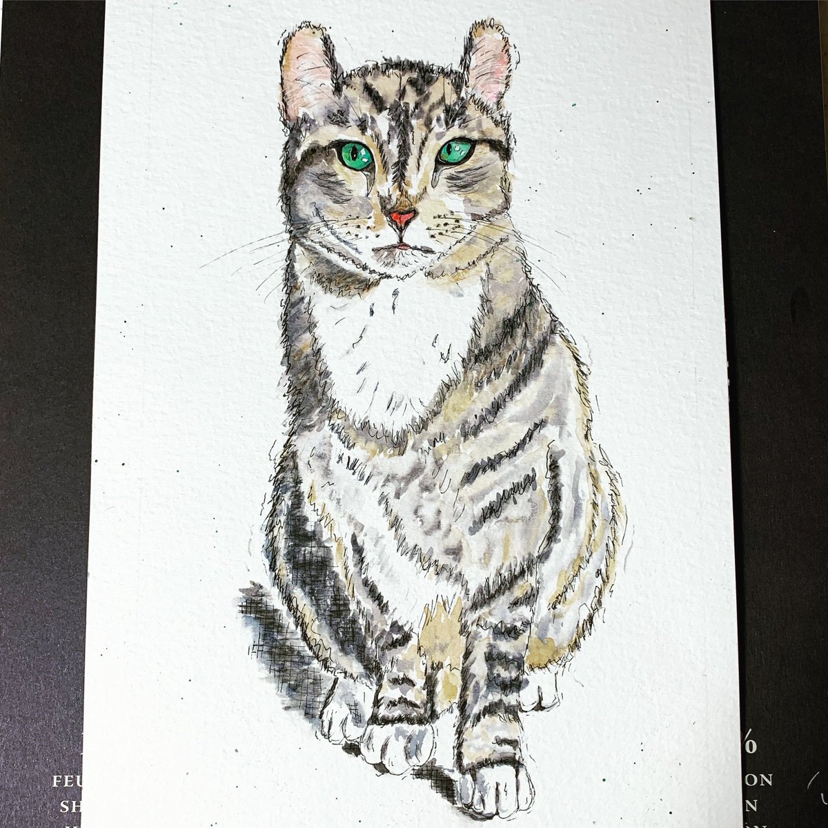 TresArtsy's tweet photo. A freshman attempt. #LineAndWash #InkAndWatercolor #WatercolorExercise #ArtAsAnAvocation #WatercolorRookie #PetPortrait #CatFigureDrawing #CurlCat #CatsAreUnreliableModels https://t.co/eFUCaOO6RS
