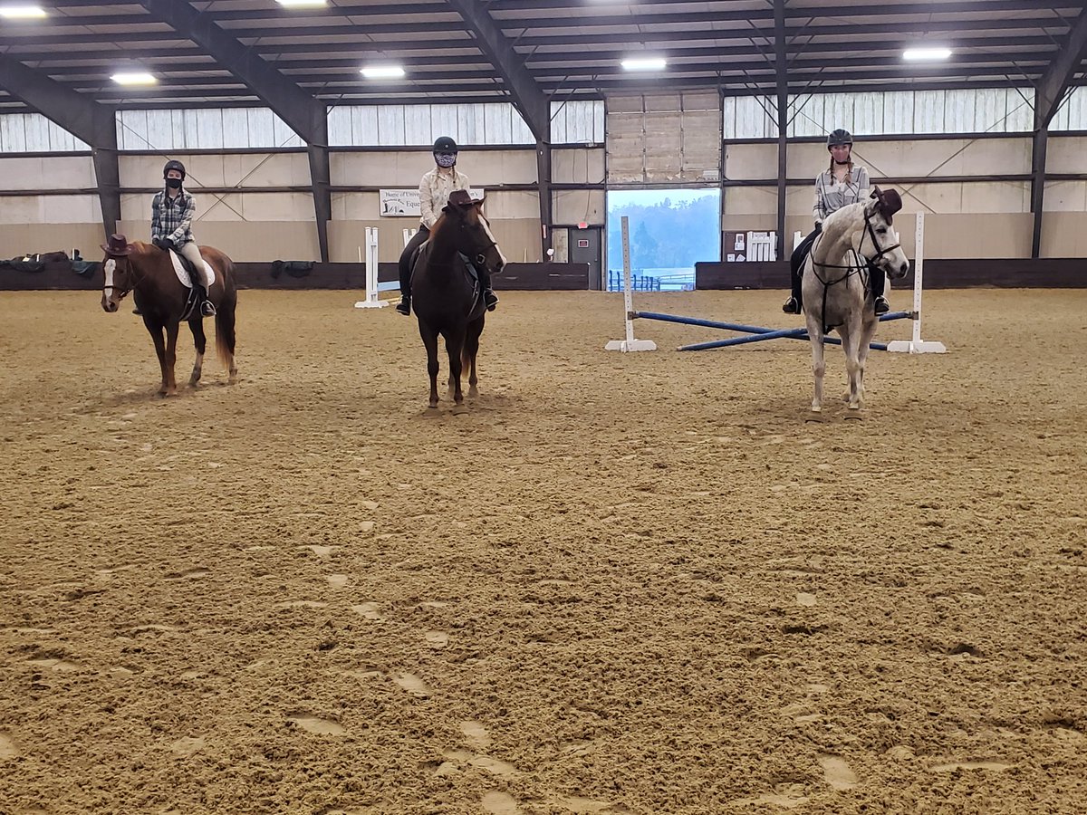 UMWRiding's tweet photo. Happy Halloween from UMW Riding! Wouldn't be a fun practice without some cute costumes! https://t.co/WC6P3EDcoH