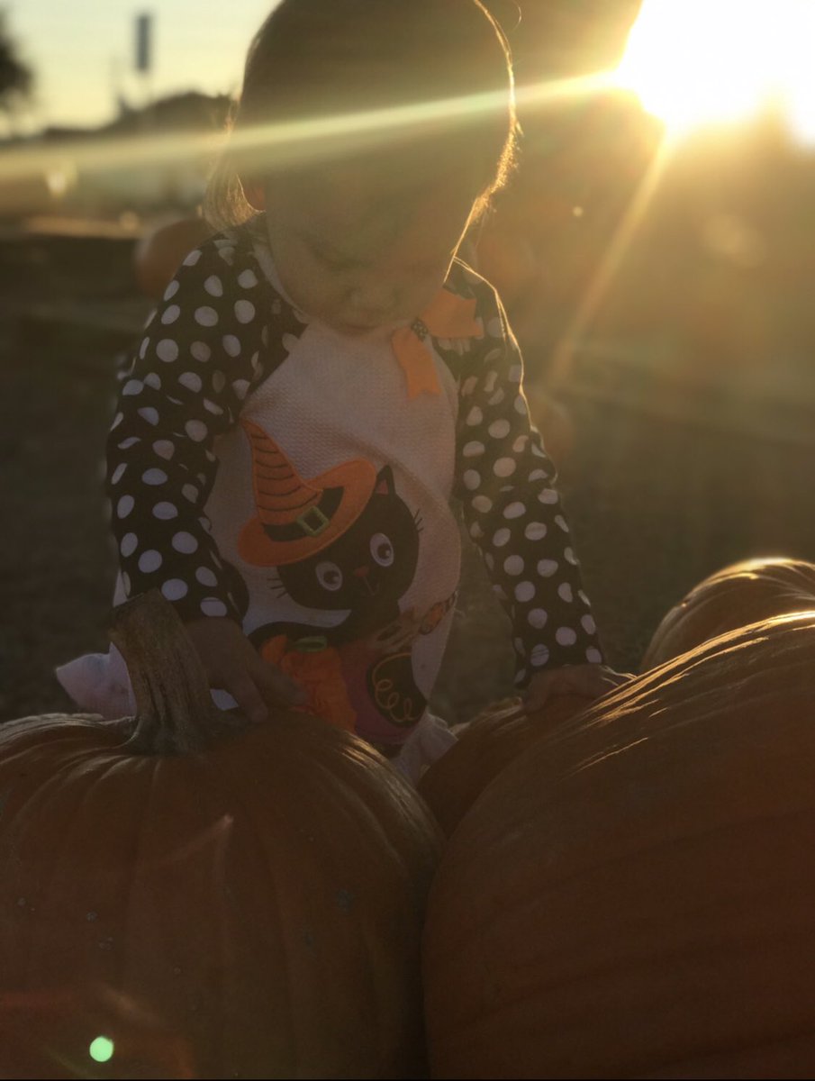 NoelleLaRay's tweet photo. Cutest pumpkin in the patch 🎃💛 https://t.co/644Q3mG9KC