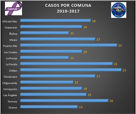 CJFundacion's tweet photo. Puente Alto, La Florida, Chillan y Temuco, presentan la mayor cantidad de casos entre 2010 y 2017. Siendo Chillan con 23 fallecidos la comuna con mayor cantidad de casos en Chile. #minsalchile #ECJ #SomosMásDeUnoEnUnMillon #Chile https://t.co/ABuBCHtuvs