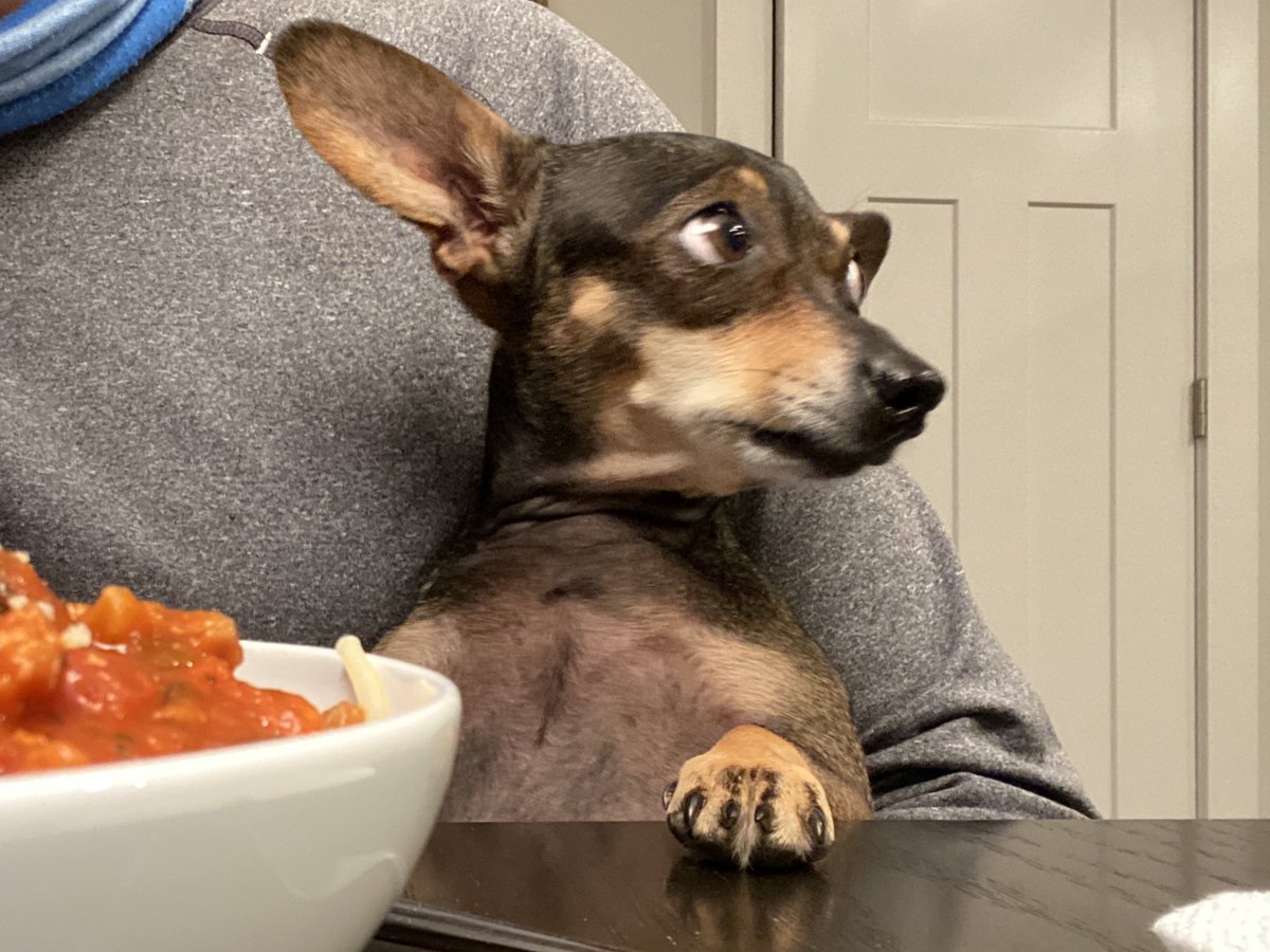 JimmyWayne's tweet image. #SpaghettiNight