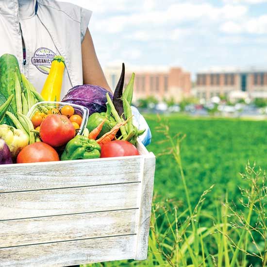 MotherEarthNews's tweet photo. To provide patients with better nutrition, some hospitals have begun serving organic food grown on their campuses in hospital farms. @lydia_noyes #nutrition #organic #organicfood #organicgarden #hospital #hospitalfarm #farm #FarmLife #MotherEarthNews https://t.co/pOtt9NwCo2 https://t.co/dtXE9d4MwZ