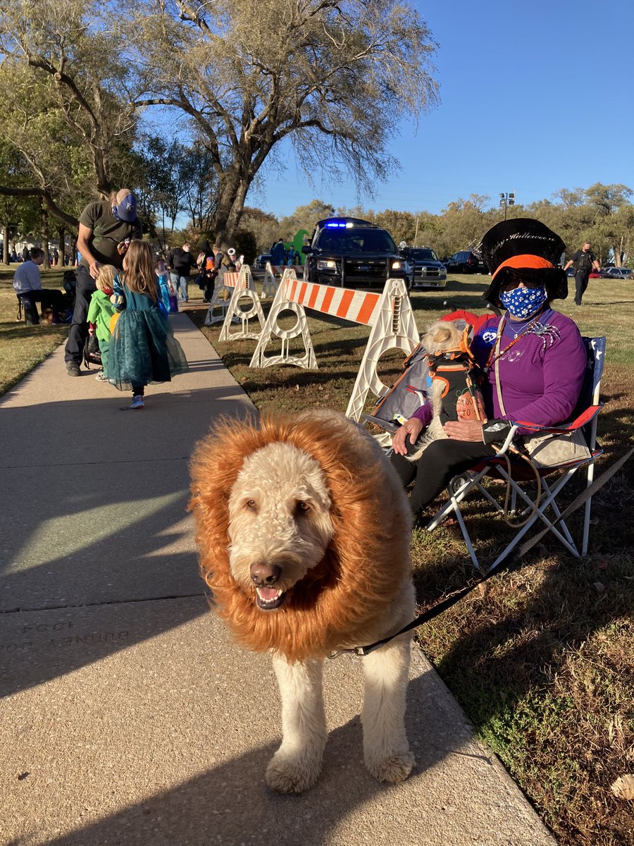 WichitaPolice's tweet photo. What a spooktacular event with a great turn out for todayβs Trunk or Treat! A big thank you to the sponsors and community partners. Itβs great to be able to bring a smile to the families of Wichita!! We handed out about 150,000 pieces of candy!
Happy Halloween! #wpdcares https://t.co/JlA7XxwNS6