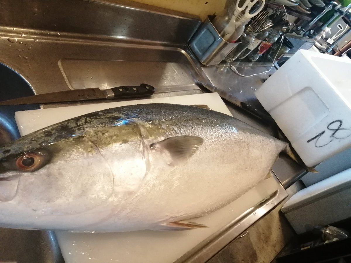 Season2 気ぶん屋 おはようございます あ イイ天気 今日は 北海道のブリ ボラの玉子 仕入れてます ブリは8 2キロのでっかいの この位大きいと 丸々太って脂のってきますね ボラ玉子はバターで焼きます Season2 気ぶん屋 おはようございます あ イイ天気 今日は 北海道のブリ ボラの玉子 仕入れてます ブリは8 2キロのでっかいの この位大きいと 丸々太って脂のってきますね ボラ玉子はバターで焼きます