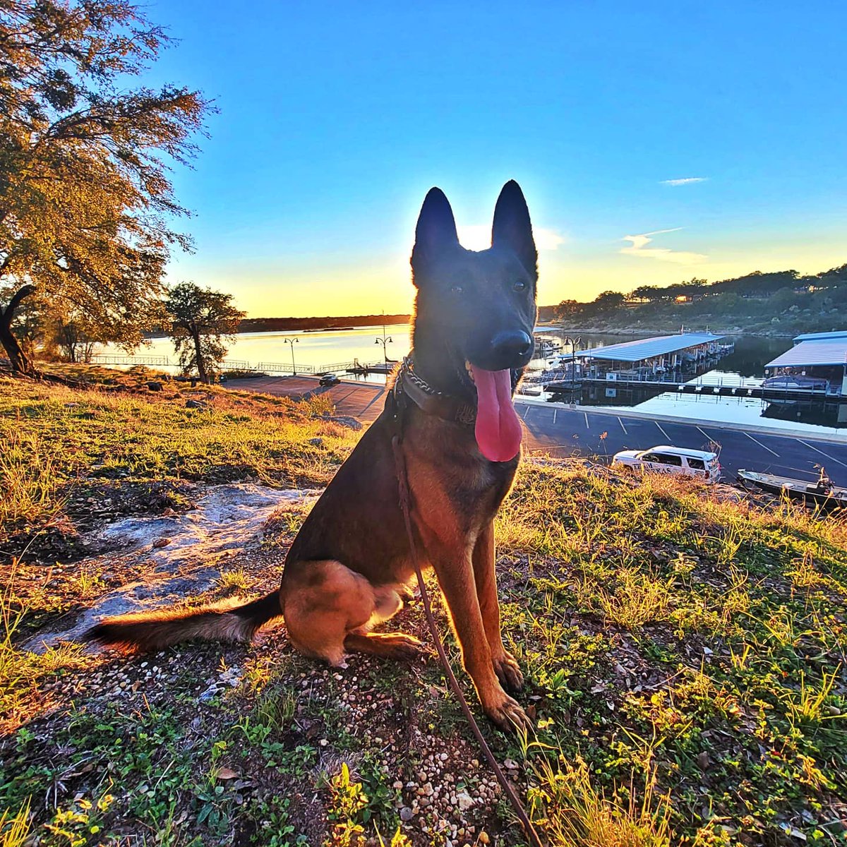 DeputyDuvall's tweet photo. Trailing training at the lake.
#mantrailing #K9Training #K9Trailing https://t.co/mZg2IczJUH