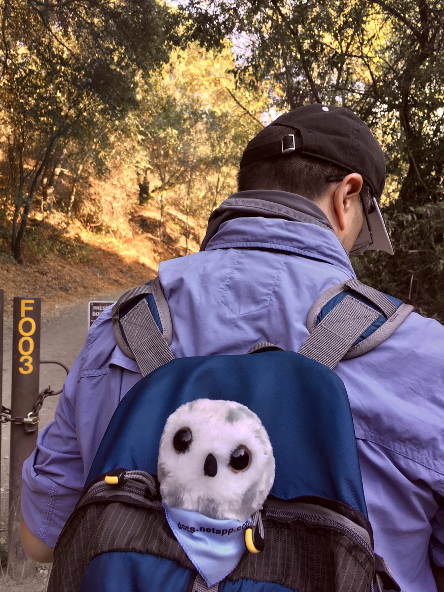 jameshom1's tweet photo. Doc learned so much at #NetAppInsight; time to get outside for a hike! Such a great birds-eye view from up here!
#wheresdoc #globalwordnerd #wordbird
@NetAppDoc @NetAppG11N https://t.co/eiDSQ2AJFq