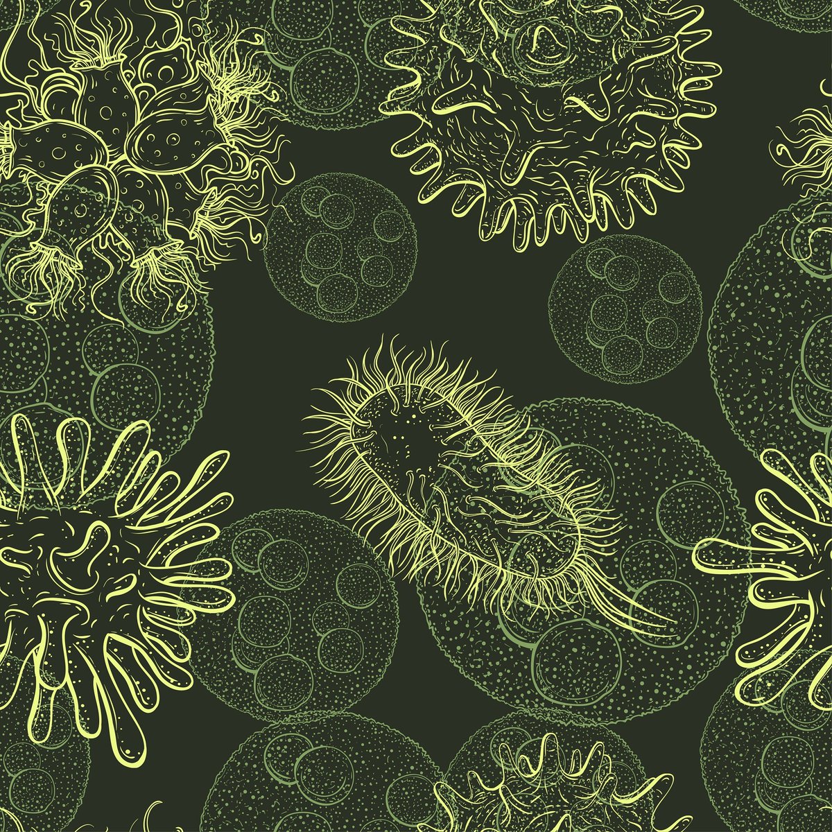 hsininfecciones's tweet photo. Científicos utilizan secuenciación de genoma para revelar cómo la bacteria gastrointestinal Enterococcus faecium, resistente a medicamentos, puede propagarse dentro de un hospital @NatureMicrobiol @Cambridge_Uni 
https://t.co/usGmIrkqfa https://t.co/It8ySd7h71
