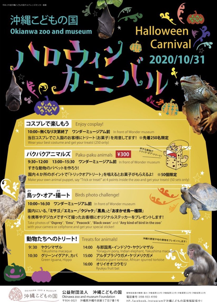 沖縄こどもの国 Okinawa Zoo Museum 公式 ワンダーミュージアム 今日 10 31 はハロウィン 仮装をしたこどもたちがあそびに来てくれてます ハロウィンイベントも盛りだくさん しかもなんと秋zooナイト最終日 夜 の動物園までお楽しみいただけます
