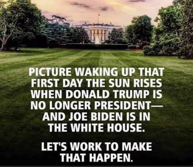 Meidas_Erin's tweet photo. @Mike_Pence Four more days until we can put the last 4 years behind us and unite our country and begin to heal from the division and hatred this administration has inflicted on our country. #Vote #VoteOutHate #VoteHimOut #VoteThemAllOut #TuesdaySenateBlueWave https://t.co/CMjxSHNdIe