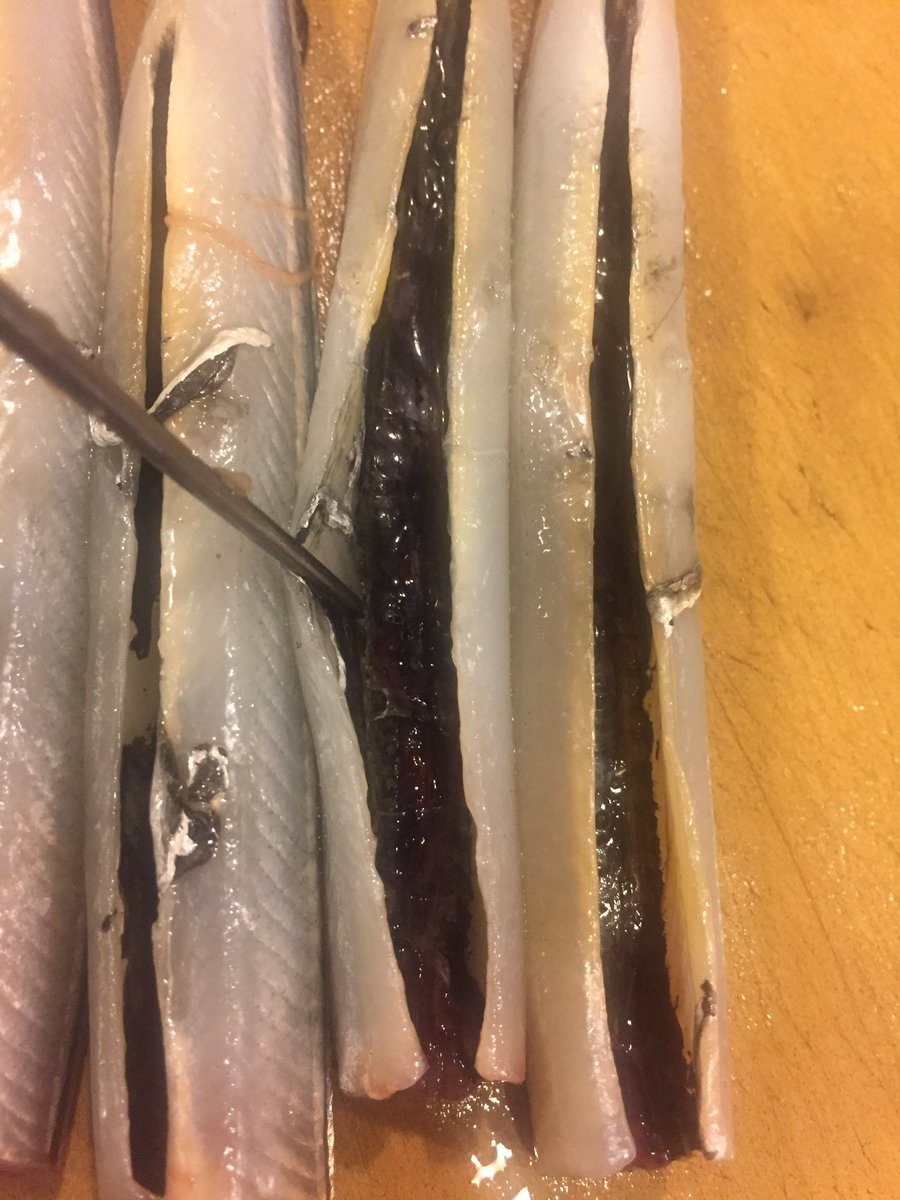 魚の旨い店 ほうぼう 茗荷 当店では刻んだ茗荷をカツオの酒盗と和えて一品小鉢でメニューに載せております カツオのお刺身がある時 お客様によっては両方ご注文頂きカツオ刺に和えて召し上る方も 箸休めによろしいかと 写真二枚は サヨリ 魚の旨い店 ほうぼう 茗荷 当店では刻んだ茗荷をカツオの酒盗と和えて一品小鉢でメニューに載せております カツオのお刺身がある時 お客様によっては両方ご注文頂きカツオ刺に和えて召し上る方も 箸休めによろしいかと 写真二枚は サヨリ
