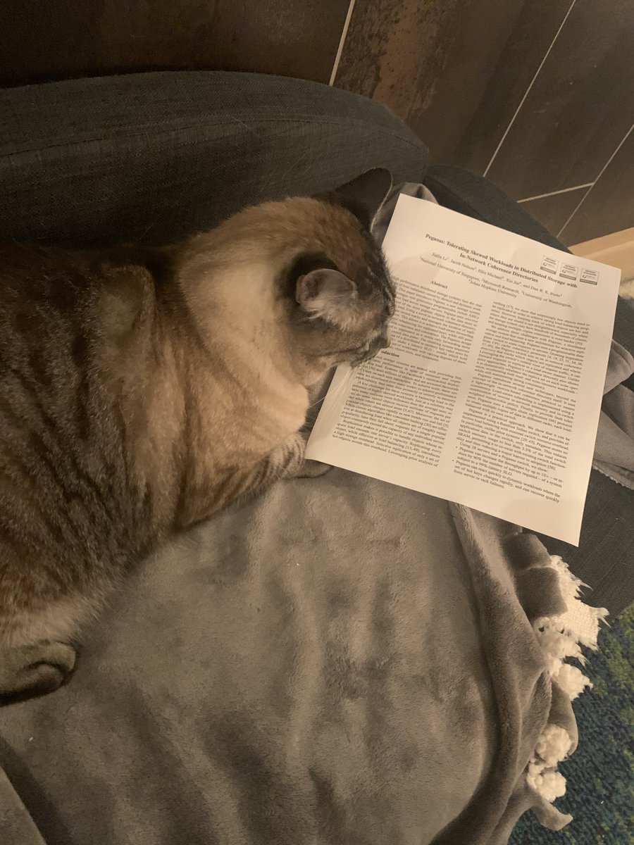 I've realized that cat photos are more popular than posts about my research, so let's try to combine the two:our upcoming OSDI paper, Pegasus, explained through photos of our cats