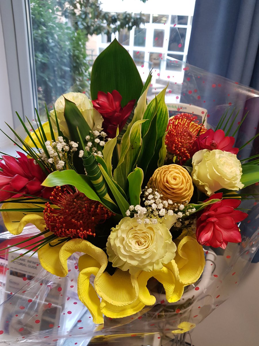 Elera McIntosh tweet media