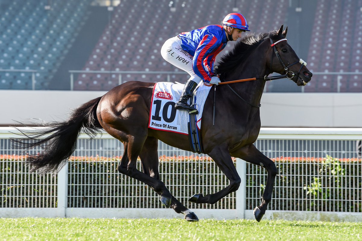 RacingVictoria's tweet photo. Prince Of Arran has drawn barrier 1 in the $8 million @Lexus #MelbourneCup! @FlemingtonVRC https://t.co/lWANXsYfXi