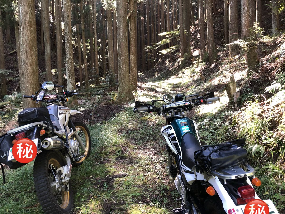 colonel_potato's tweet image. 林道楽しかったです