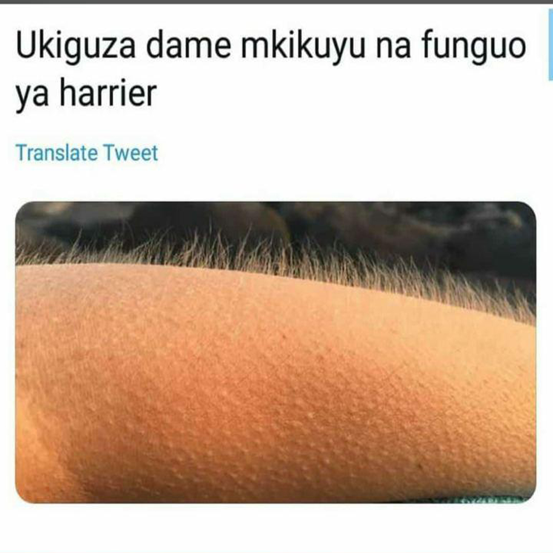 GariGuruske's tweet photo. Daughter of Mumbi, we know that feeling as well 😂😂

#auntywaharrier #daughtersofmumbi #garigurus #gariguruske #Fridaythoughts https://t.co/7p2JgRA87o